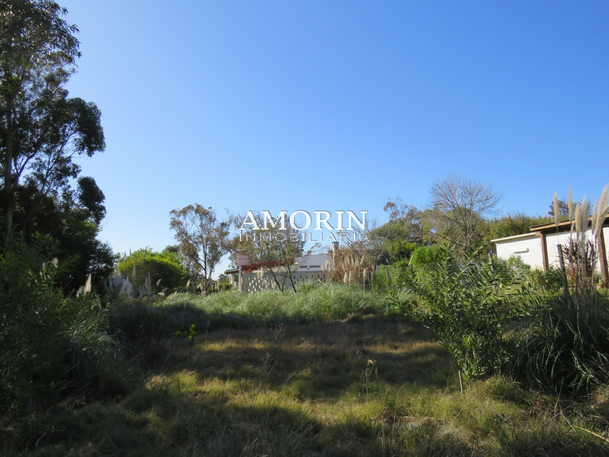 Terreno ID.594 - Terreno en El Chorro