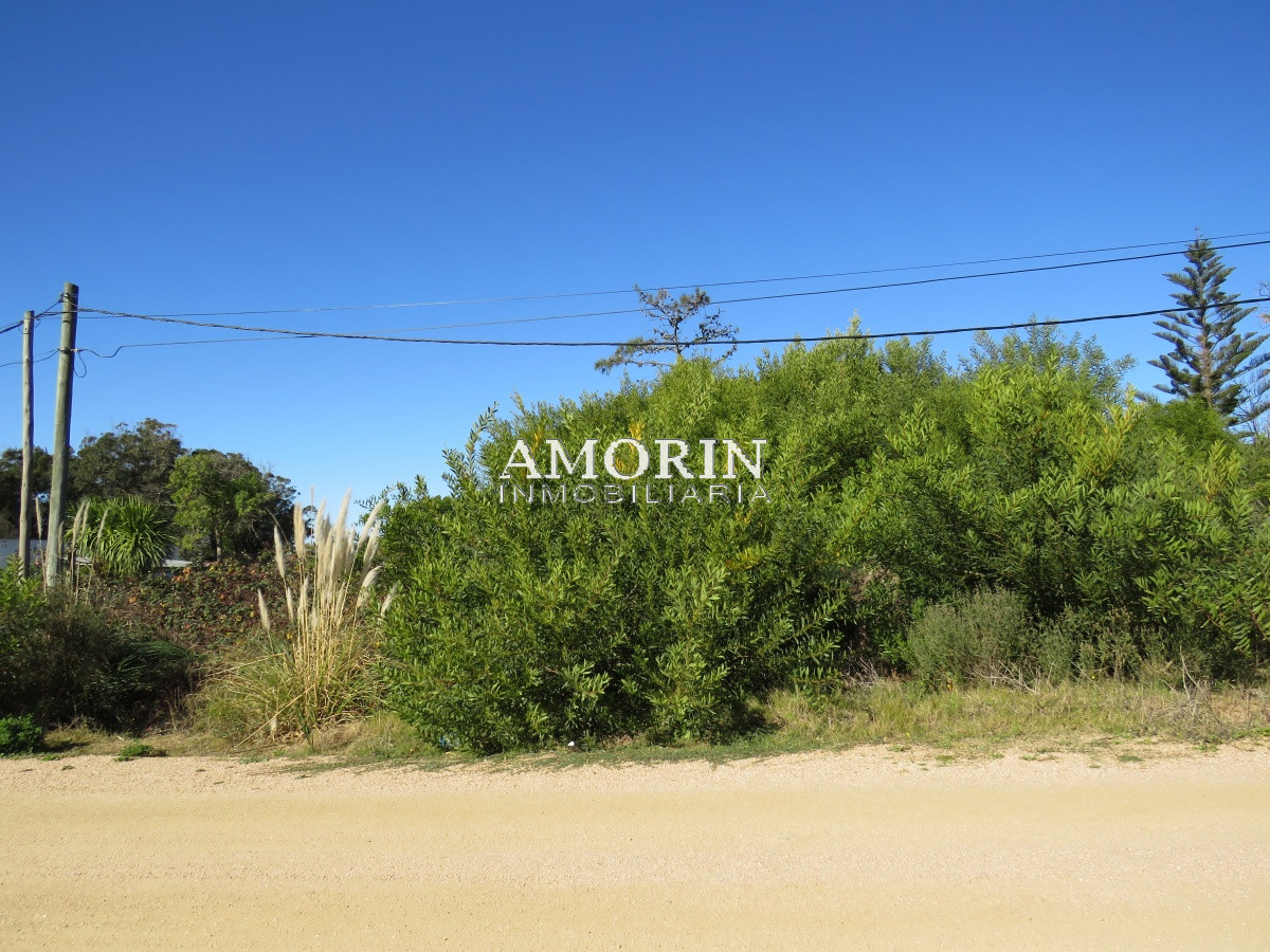 Terreno ID.593 - Terreno en El Chorro