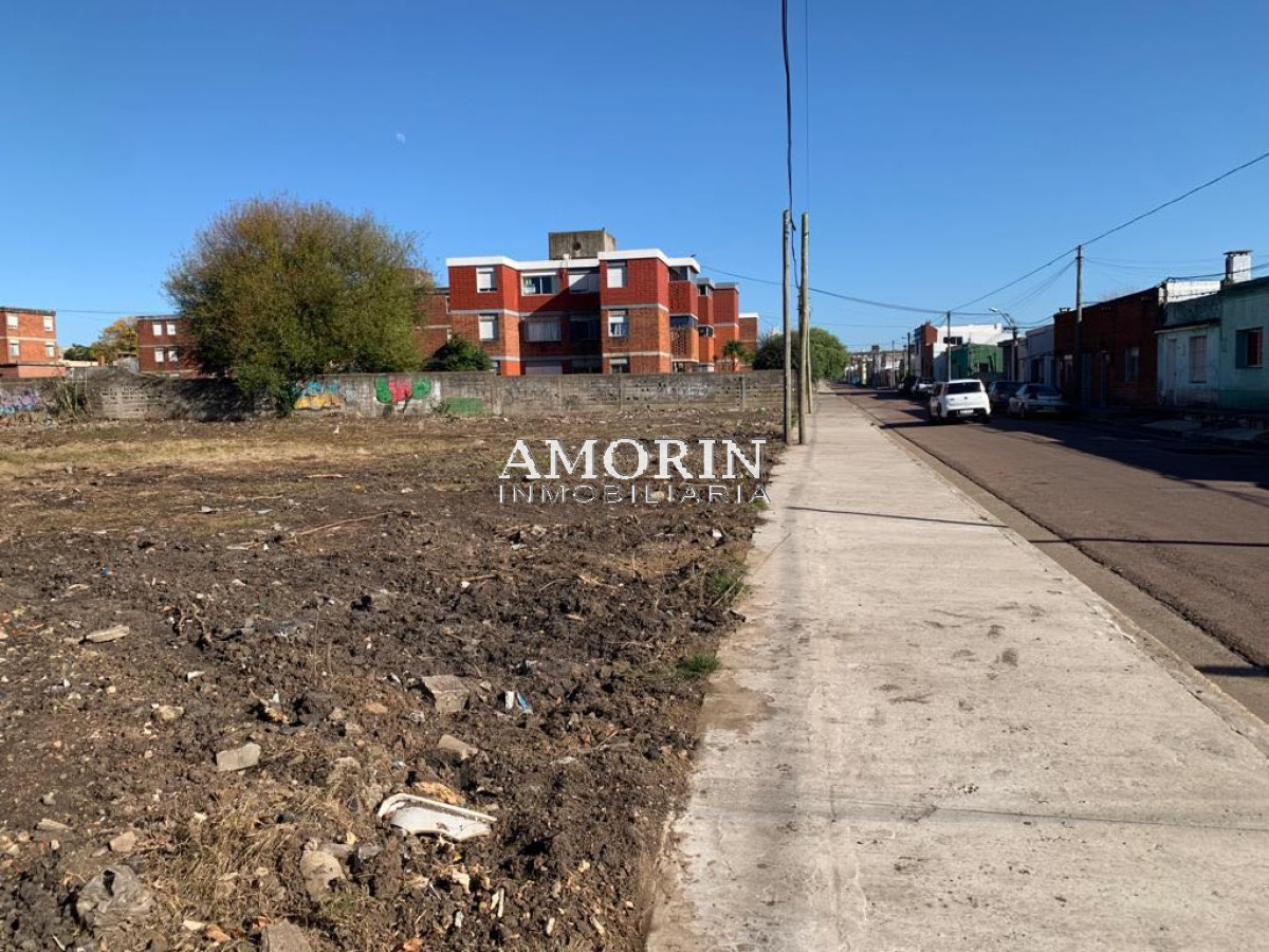 Terreno ID.602 - Terreno en San Carlos, Centro San Carlos