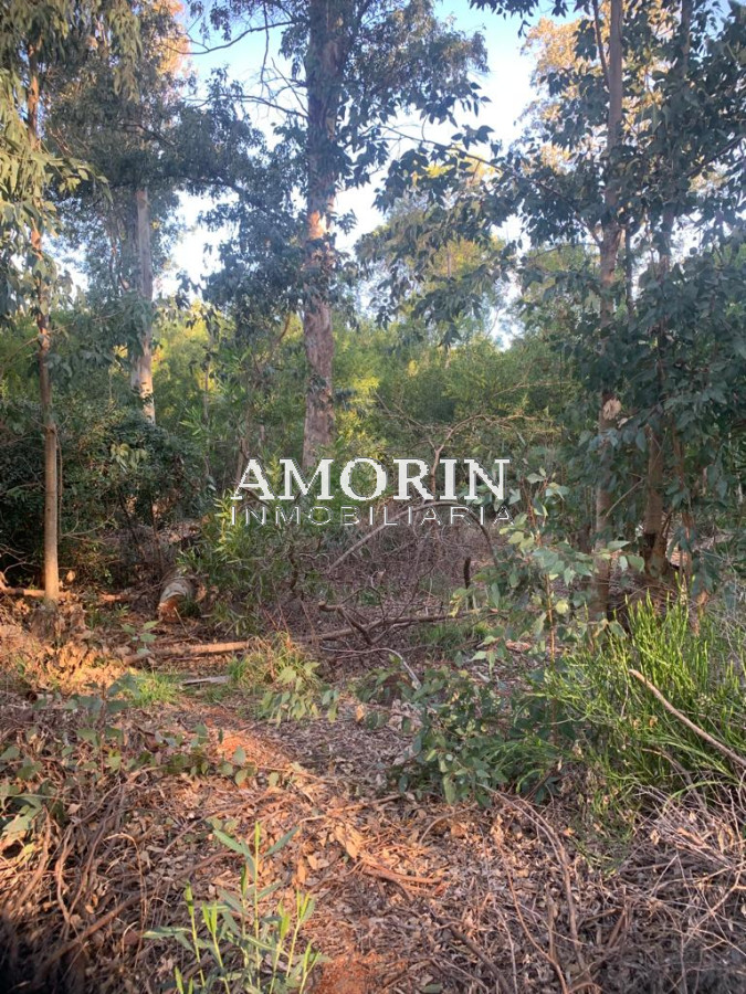 Terreno ID.612 - Terreno en Punta Ballena, Sauce de Portezuelo