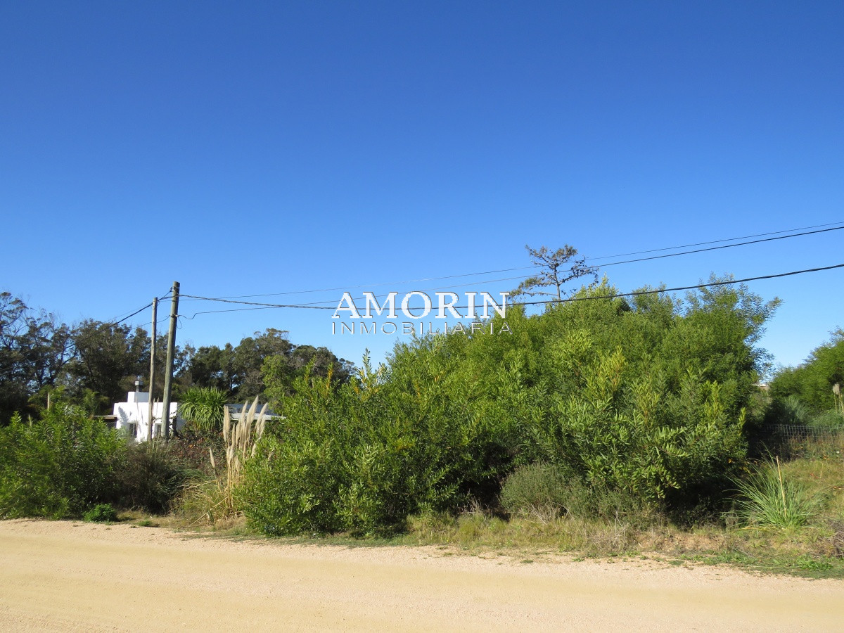 Terreno ID.593 - Terreno en El Chorro