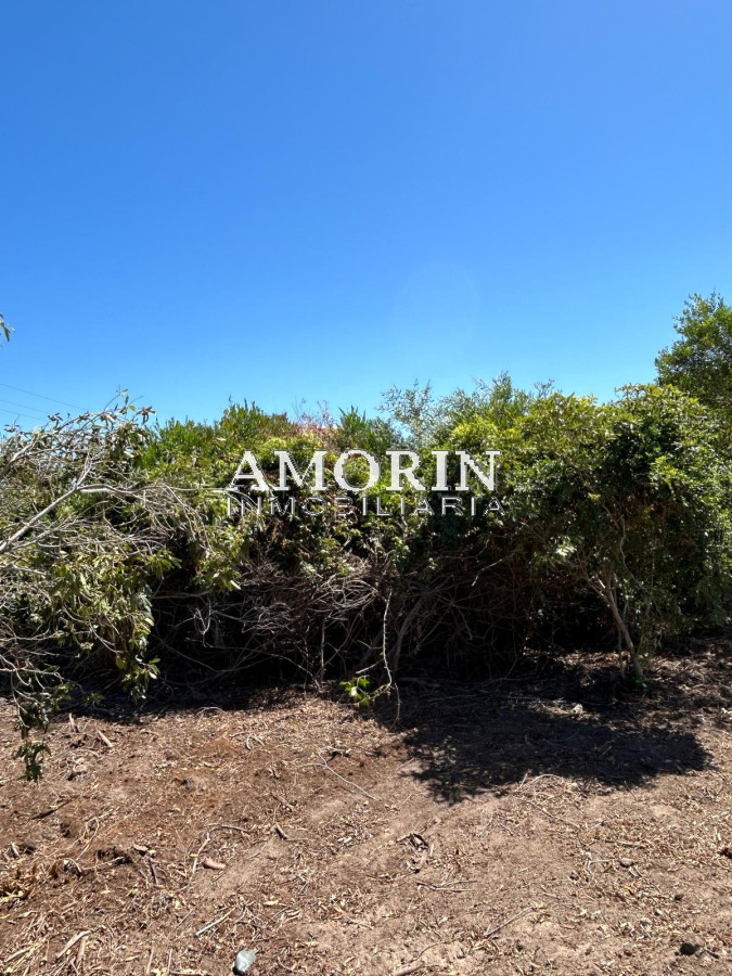 Terreno ID.789 - 2 Lotes en Santa Monica