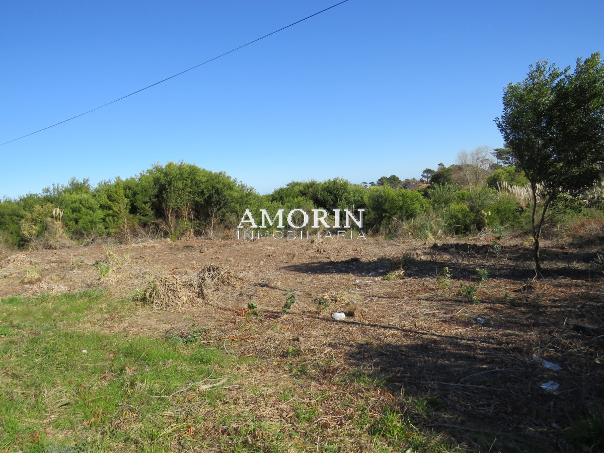 Terreno ID.589 - Terreno en Manantiales.