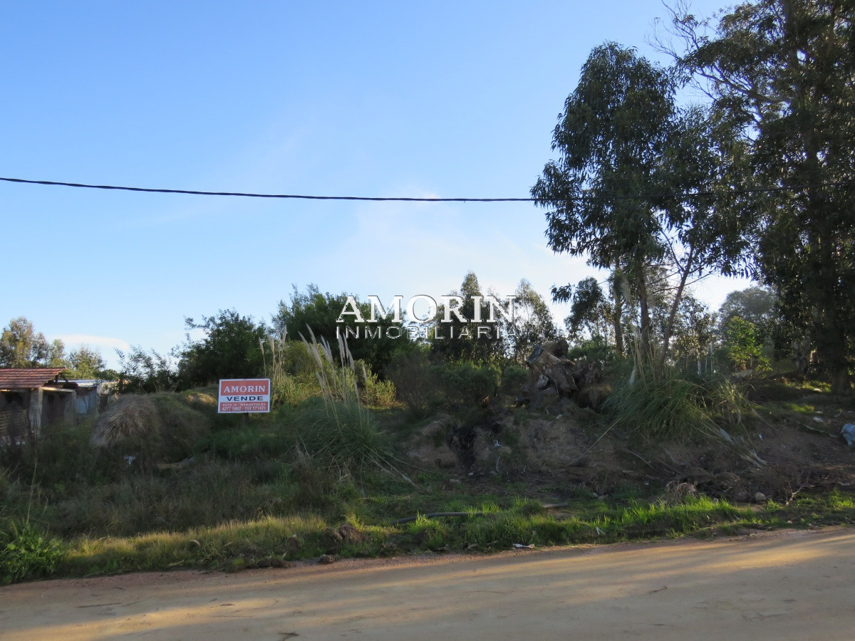 Terreno ID.608 - TERRENO BALNEARIO BUENOS AIRES
