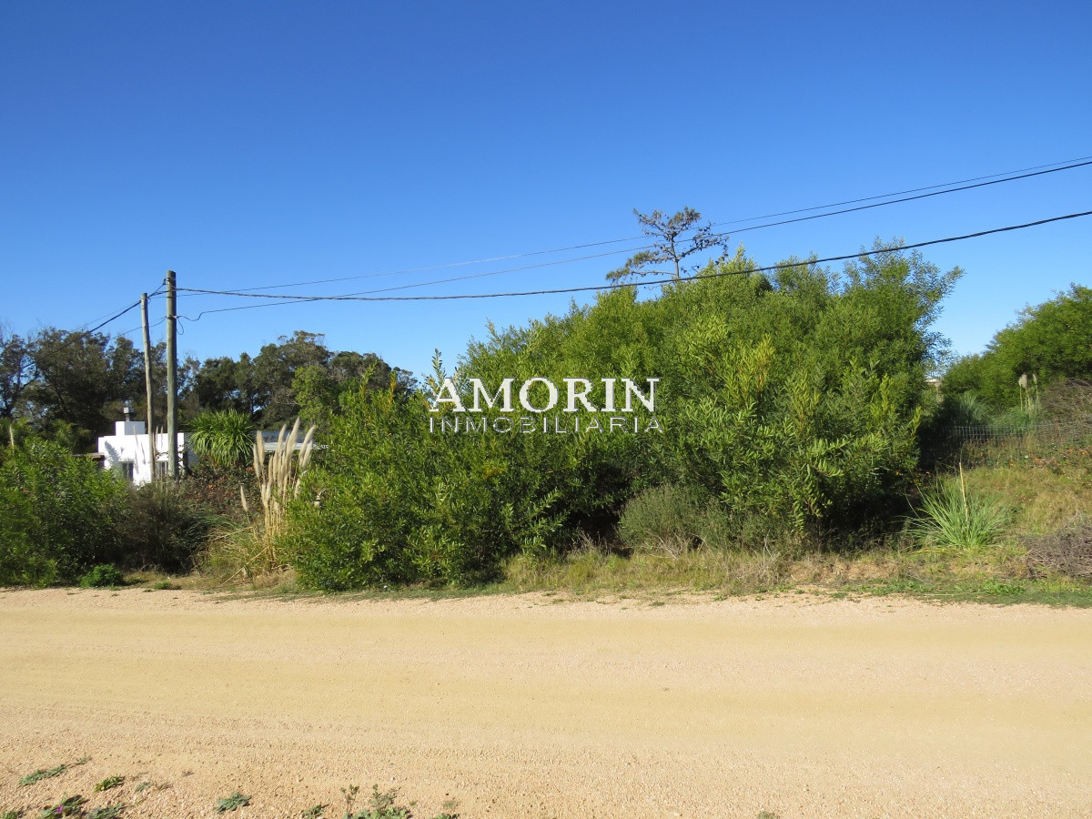 Terreno ID.593 - Terreno en El Chorro