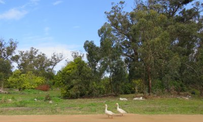 TERRENO EN SANTA MONICA