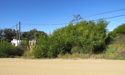 Terreno en El Chorro