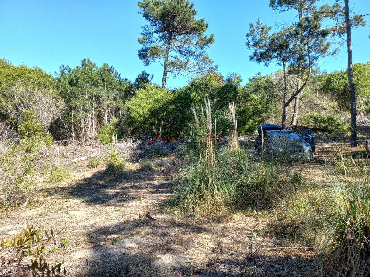 Terreno ID.5255 - VENTA DE TERRENO EN ROCHA PARA UNIFICAR