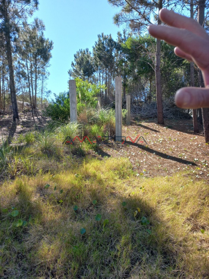 Terreno ID.5255 - VENTA DE TERRENO EN ROCHA PARA UNIFICAR