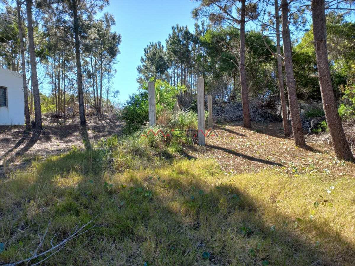 Terreno ID.5255 - VENTA DE TERRENO EN ROCHA PARA UNIFICAR