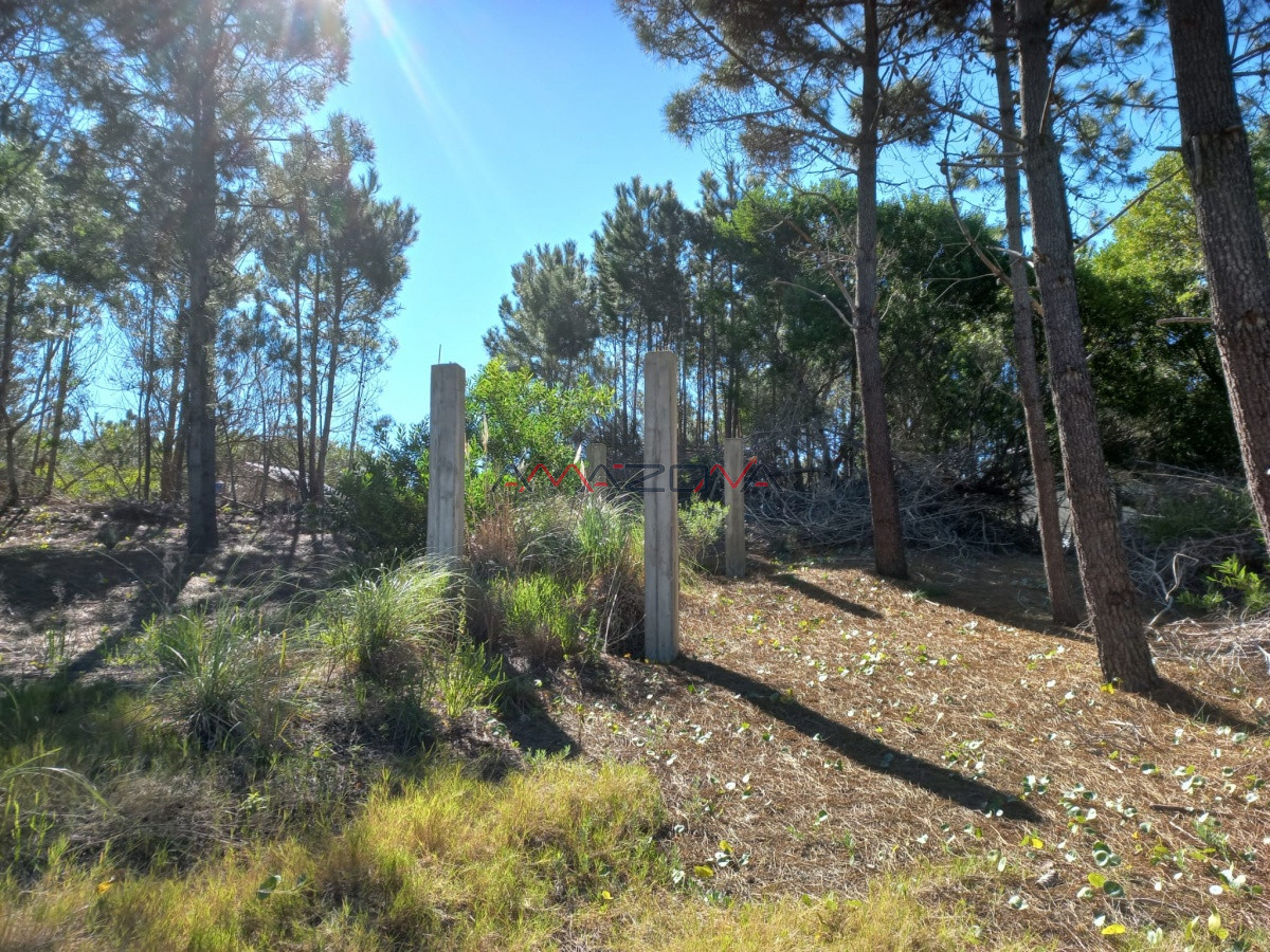 Terreno ID.5255 - VENTA DE TERRENO EN ROCHA PARA UNIFICAR
