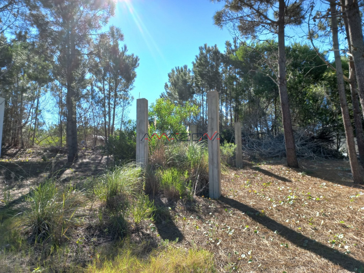 Terreno ID.5255 - VENTA DE TERRENO EN ROCHA PARA UNIFICAR