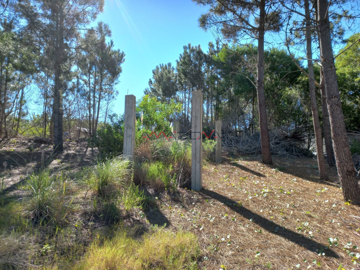 Terreno ID.5255 - VENTA DE TERRENO EN ROCHA PARA UNIFICAR