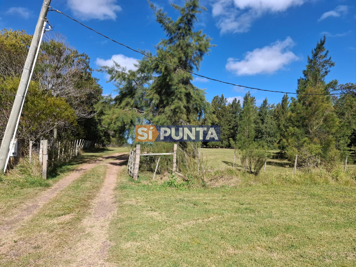 Chacra ID.11775 - Hermosa chacra a 25 kilometros de Punta del ESte