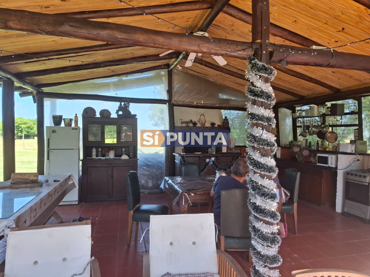 Chacra ID.11775 - Hermosa chacra a 25 kilometros de Punta del ESte