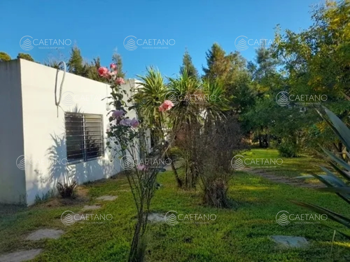 Ocean Park - GoPunta - Portal Inmobiliario de Punta del Este - Maldonado