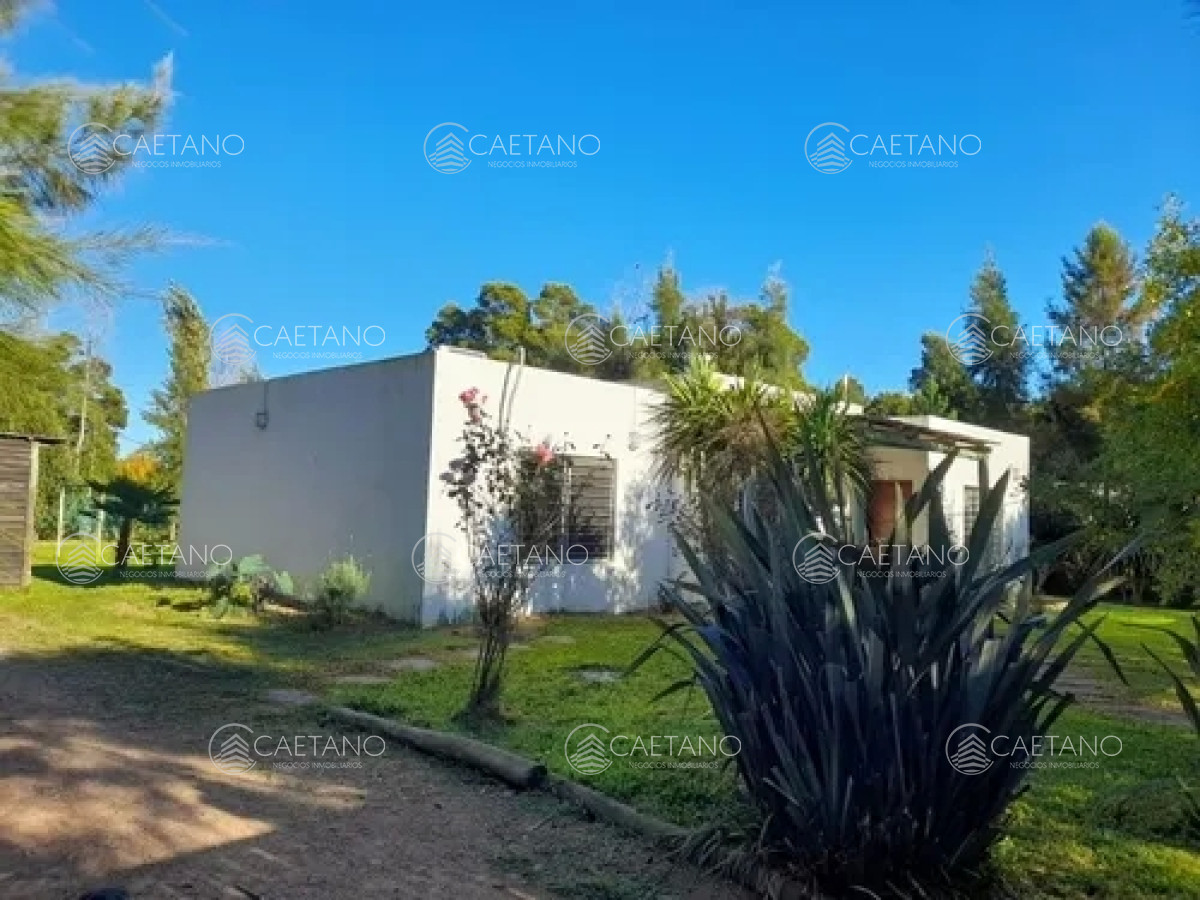 Ocean Park - GoPunta - Portal Inmobiliario de Punta del Este - Maldonado