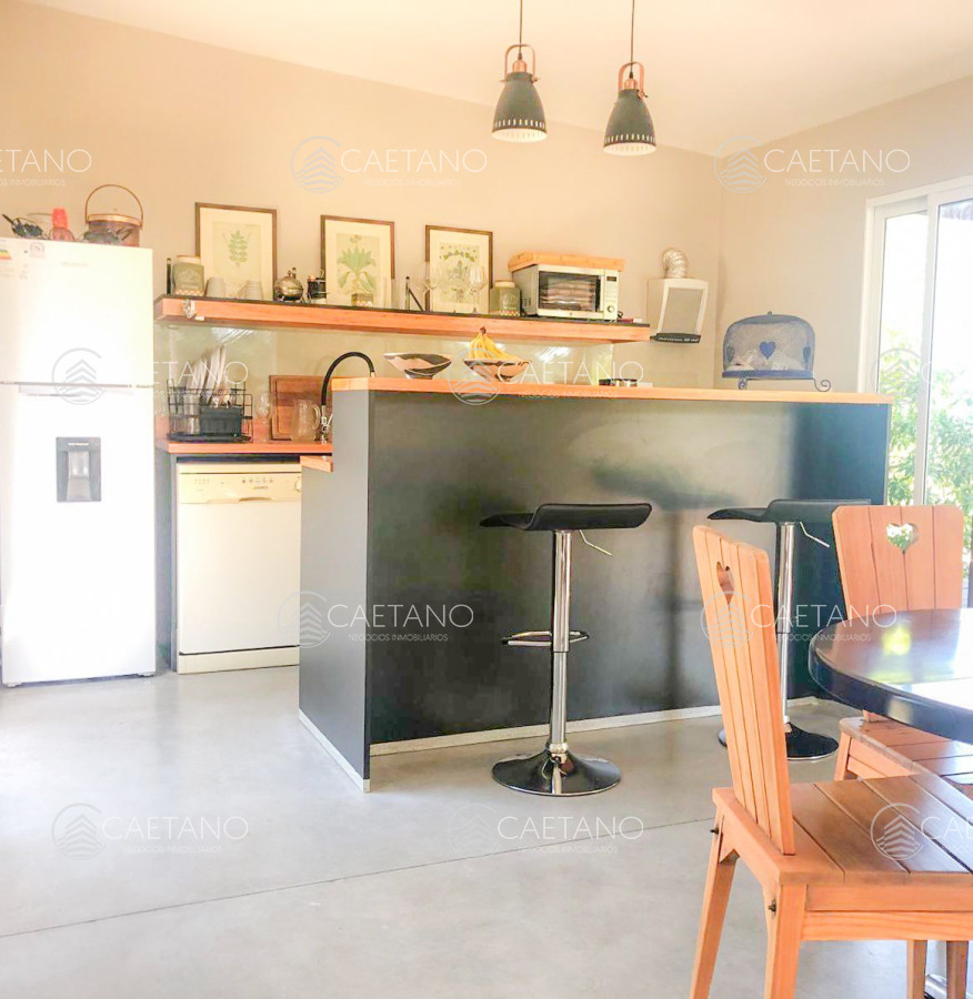 Chihuahua - GoPunta - Portal Inmobiliario de Punta del Este - Maldonado