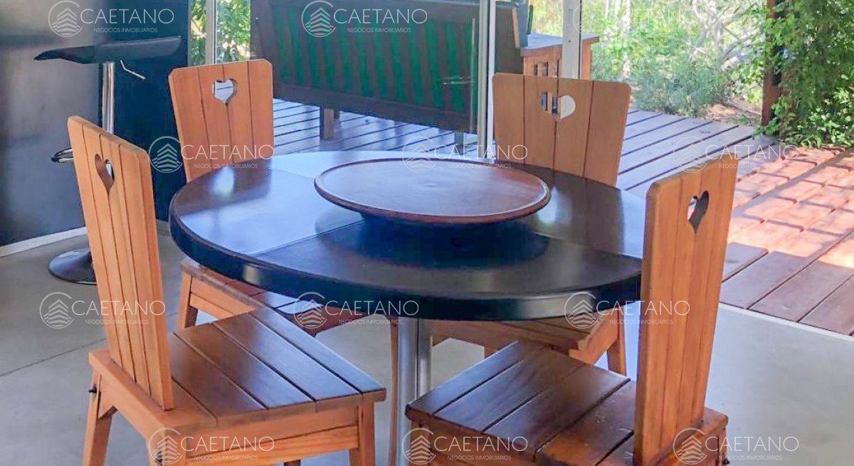 Chihuahua - GoPunta - Portal Inmobiliario de Punta del Este - Maldonado