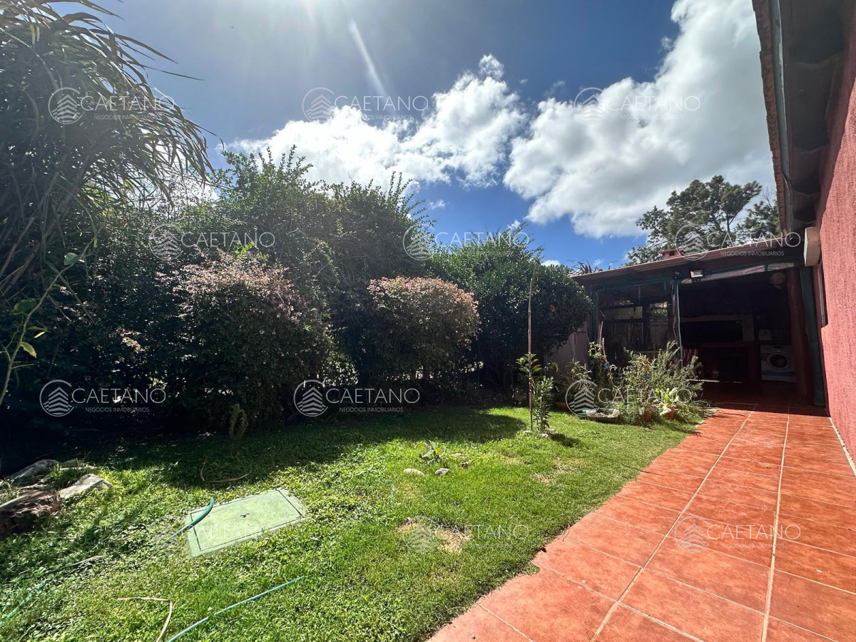 Tio Tom - GoPunta - Portal Inmobiliario de Punta del Este - Maldonado