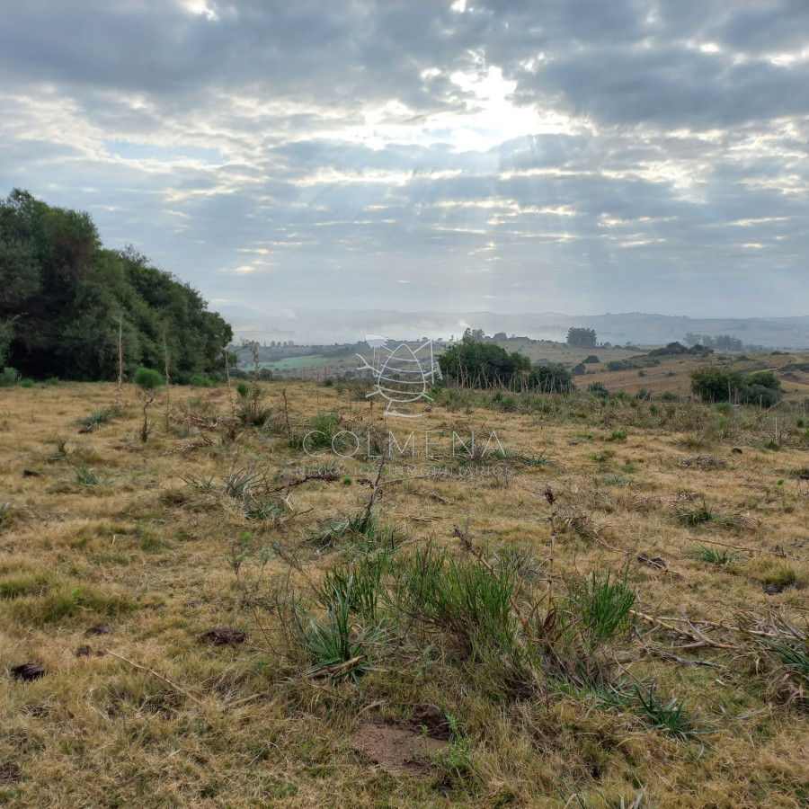 Pueblo Eden - GoPunta - Portal Inmobiliario de Punta del Este - Maldonado