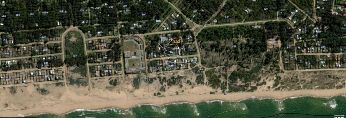 Sauce de Portezuelo - GoPunta - Portal Inmobiliario de Punta del Este - Maldonado