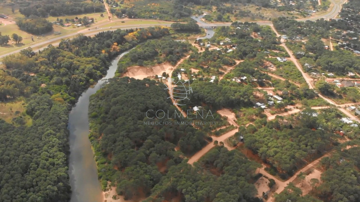 Chihuahua - GoPunta - Portal Inmobiliario de Punta del Este - Maldonado