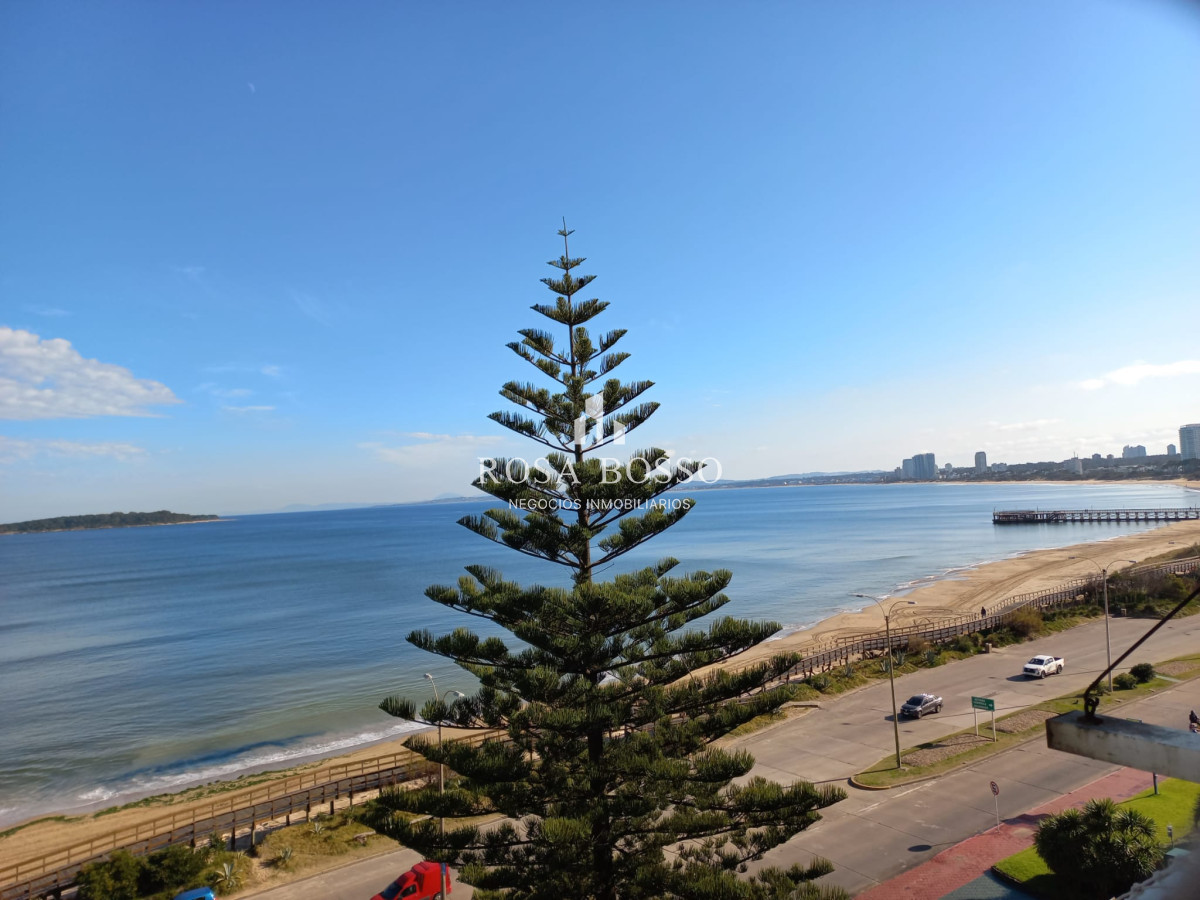 Mansa - GoPunta - Portal Inmobiliario de Punta del Este - Maldonado