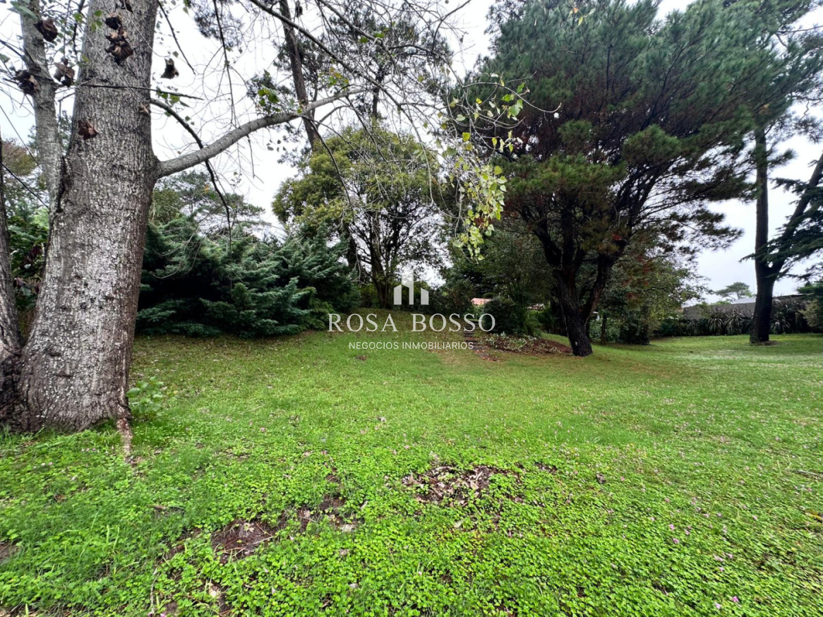 Apartamento ID.9871 - Casa de 3 dormitorios en venta en Cantegril