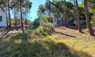 VENTA DE TERRENO EN ROCHA