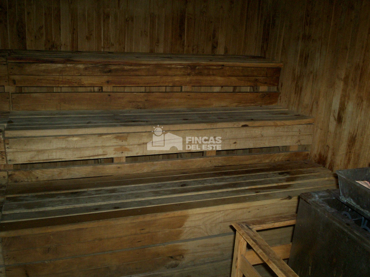 Apartamento ID.2555/Apartamento-frente-al-Mar-en-Playa-Brava-de-3-dormitorios- - Apartamento frente al Mar en Playa Brava de 3 dormitorios 