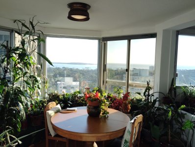 Apartamento en Roosevelt, 3 dormitorios más dependencia