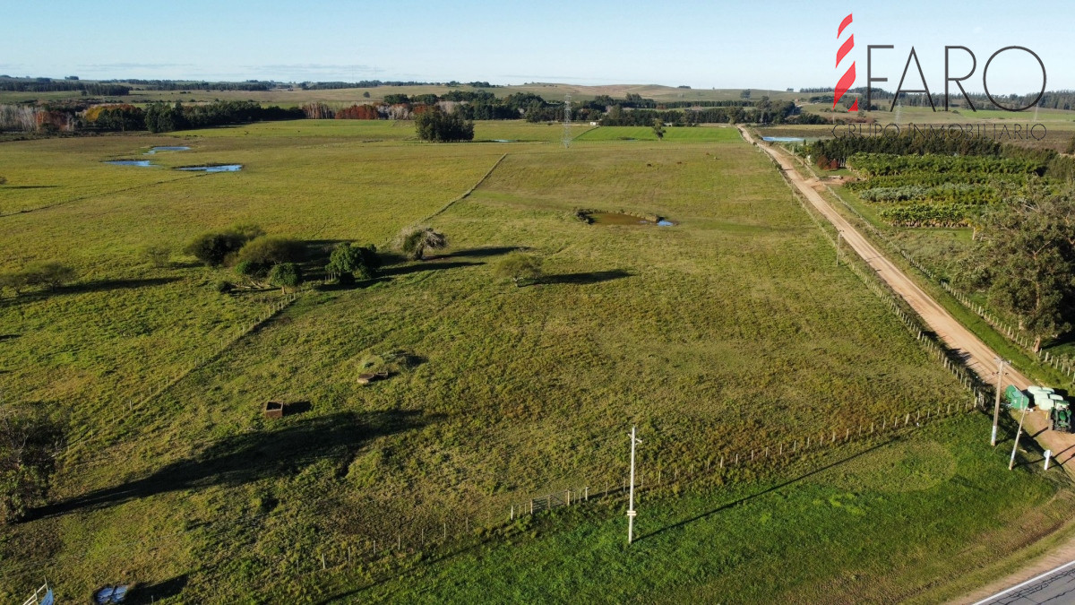 Ruta 104 - GoPunta - Portal Inmobiliario de Punta del Este - Maldonado