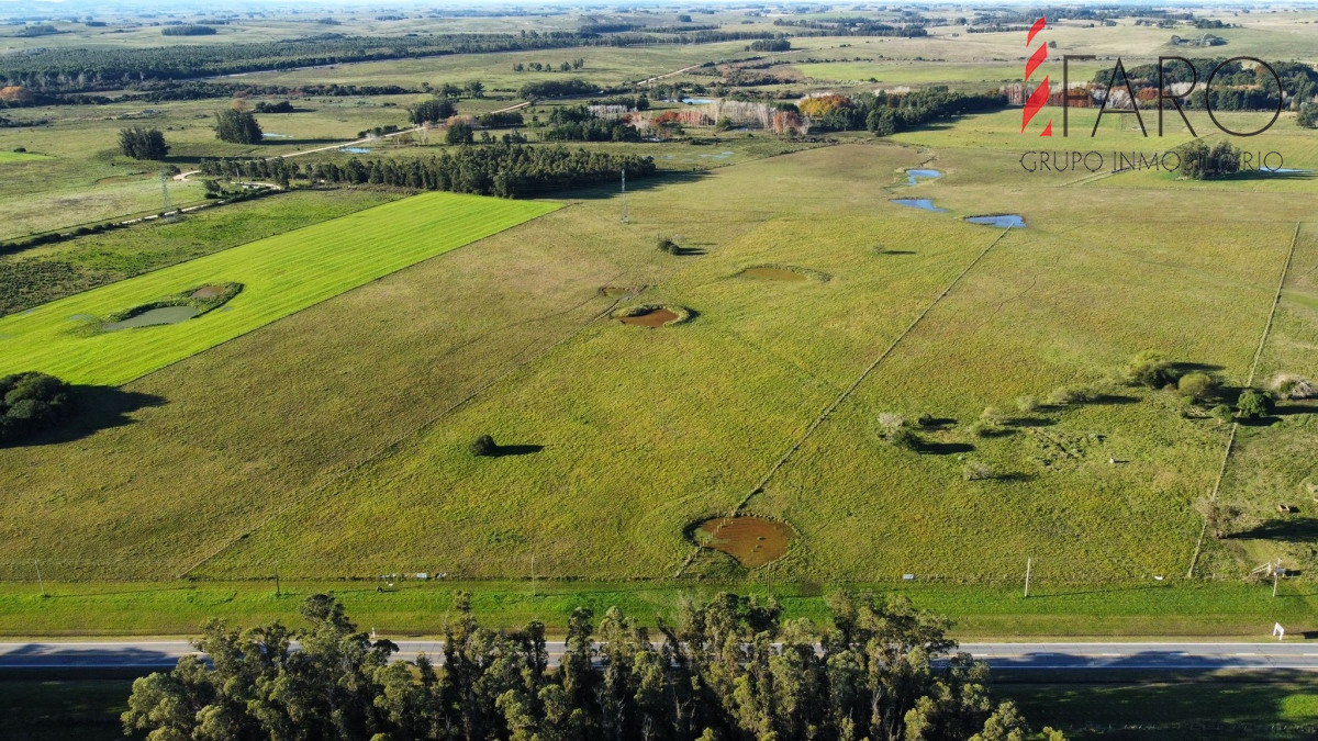 Ruta 104 - GoPunta - Portal Inmobiliario de Punta del Este - Maldonado