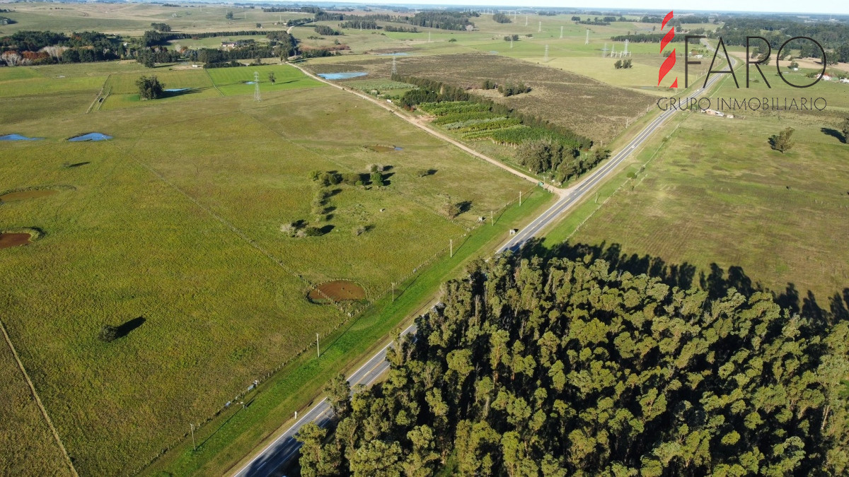 Ruta 104 - GoPunta - Portal Inmobiliario de Punta del Este - Maldonado