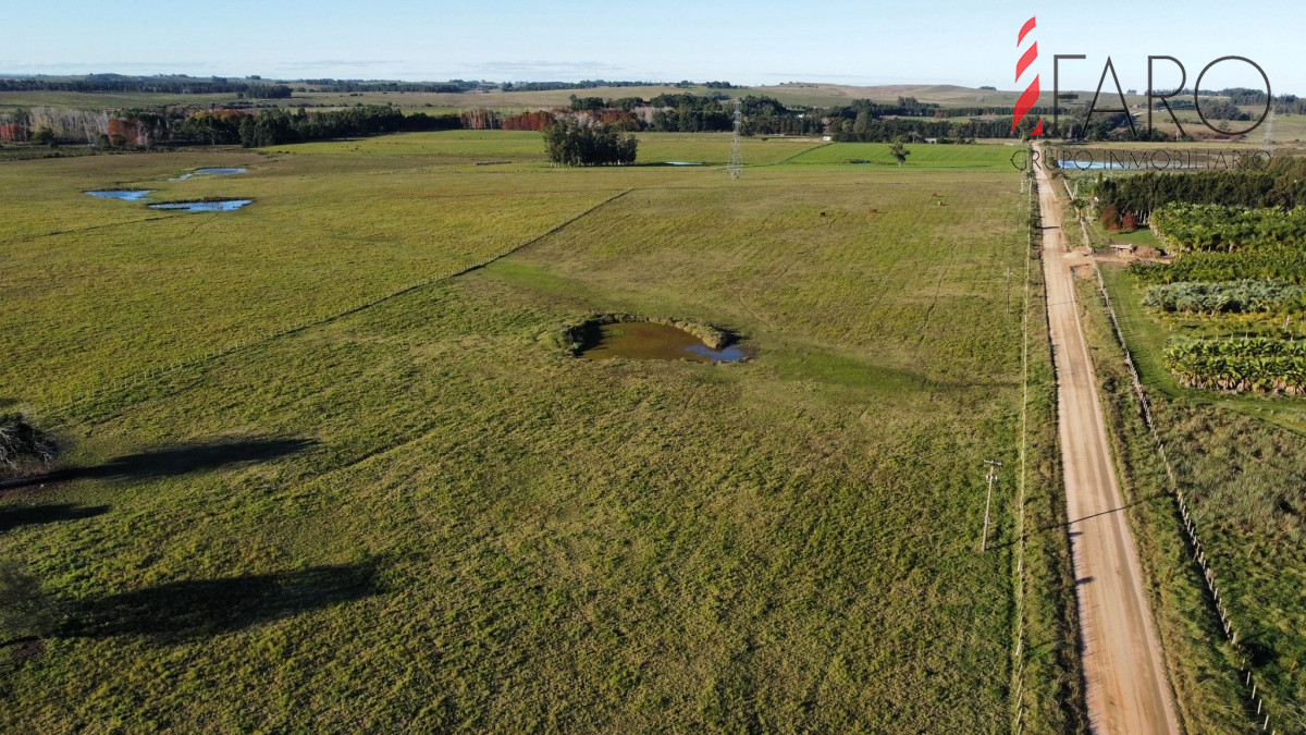 Ruta 104 - GoPunta - Portal Inmobiliario de Punta del Este - Maldonado