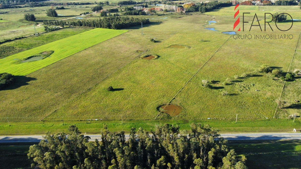 Ruta 104 - GoPunta - Portal Inmobiliario de Punta del Este - Maldonado