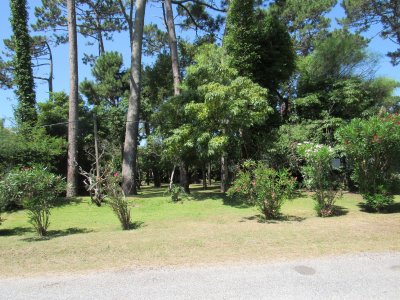 Venta de terreno en Punta del Este