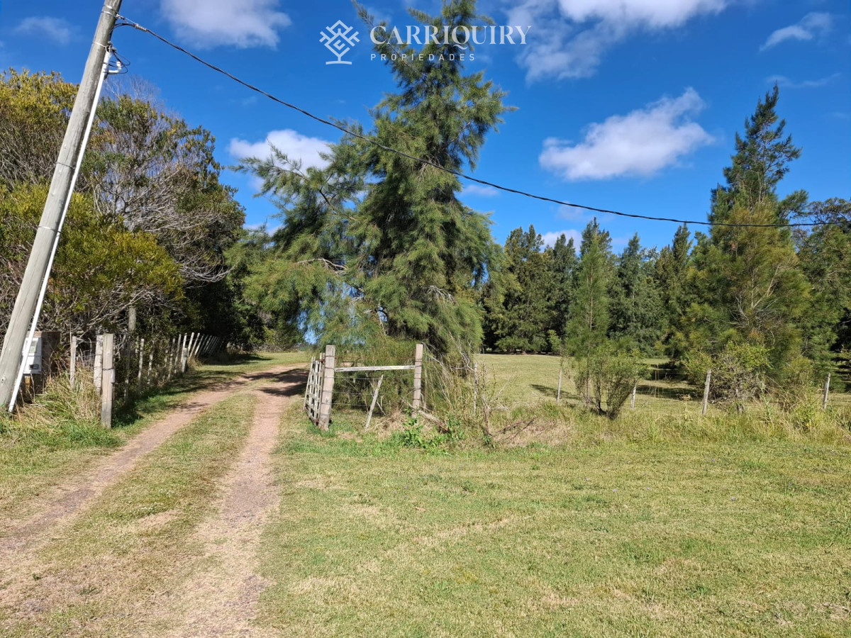 Chacra ID.9047/Venta-de-15-chacras-por-Camino-Eguzquiza- - Hermosa chacra a 25 kilometros de Punta del ESte
