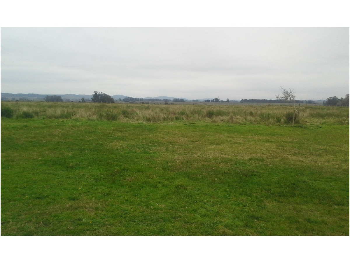 Chacra ID.9051/Venta-chacra-en-Ruta-9-con-espectacular-vista-a-Laguna-del-Sauce. - venta de chacra en Maldonado