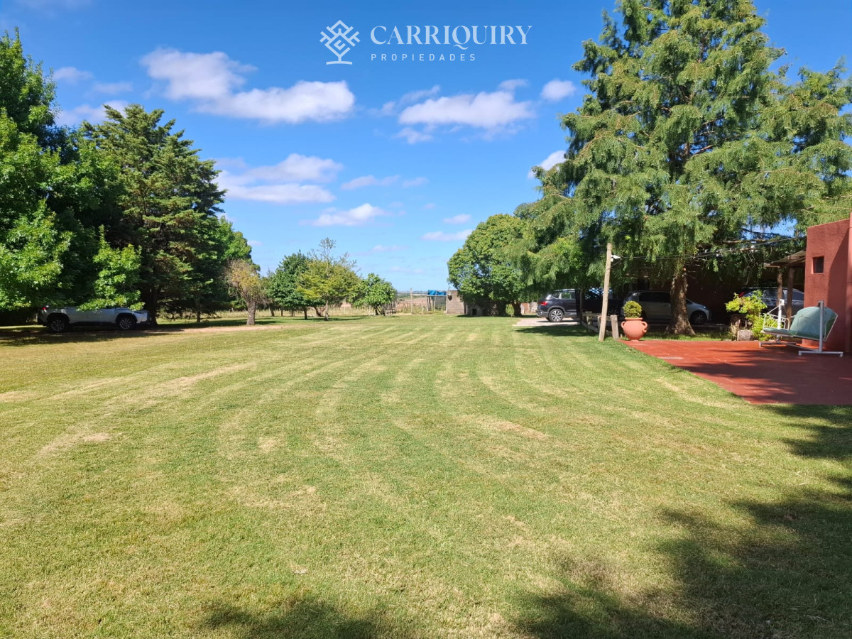 San Carlos - GoPunta - Portal Inmobiliario de Punta del Este - Maldonado