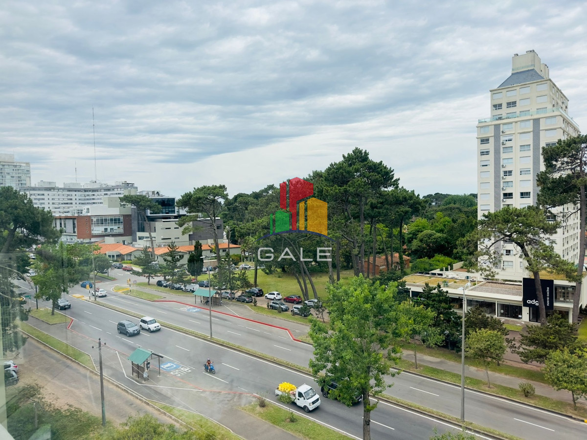 Cantegril - GoPunta - Portal Inmobiliario de Punta del Este - Maldonado