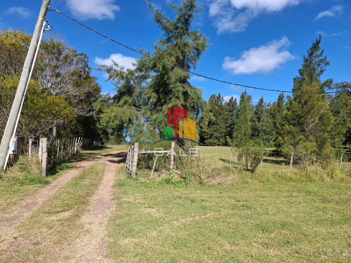 Chacra ID.3648 - Hermosa chacra a 25 kilometros de Punta del ESte