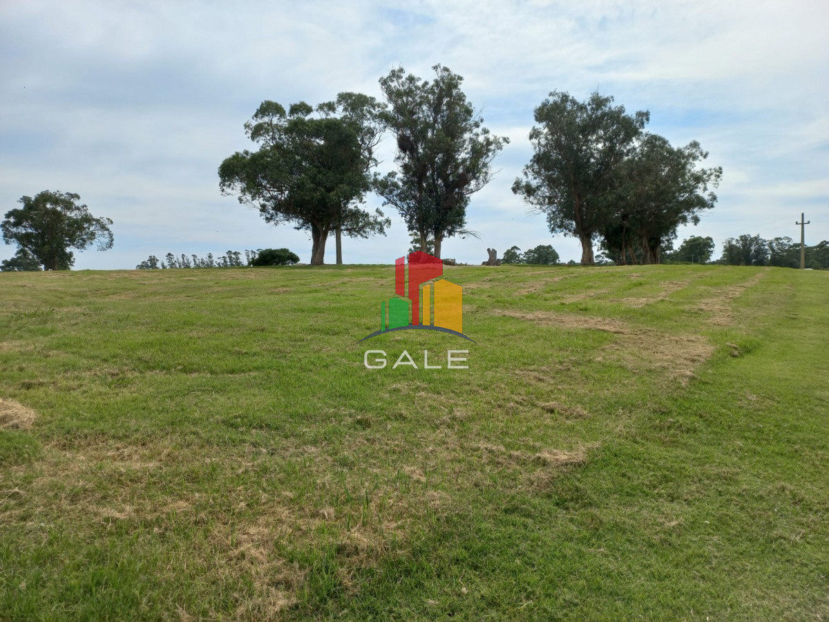 Terreno ID.4981 - Terreno en venta de 5000 m2 en El Quijote