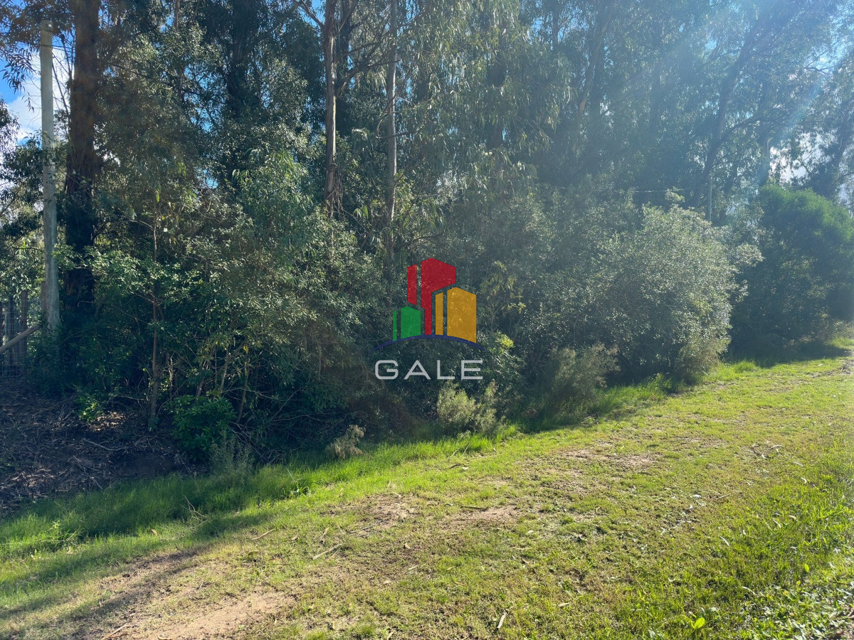 Ocean Park - GoPunta - Portal Inmobiliario de Punta del Este - Maldonado