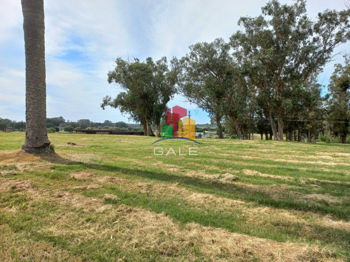 Terreno ID.4981 - Terreno en venta de 5000 m2 en El Quijote