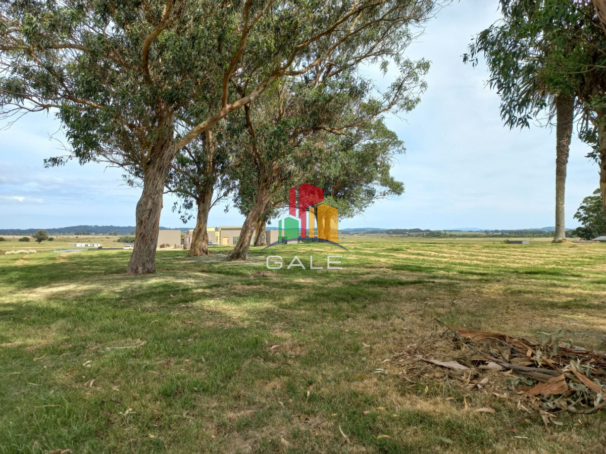Terreno ID.4981 - Terreno en venta de 5000 m2 en El Quijote