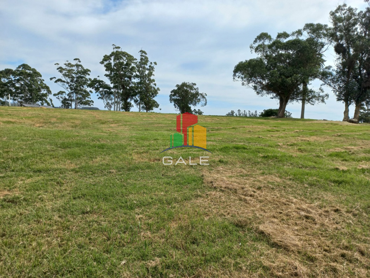 Terreno ID.4981 - Terreno en venta de 5000 m2 en El Quijote