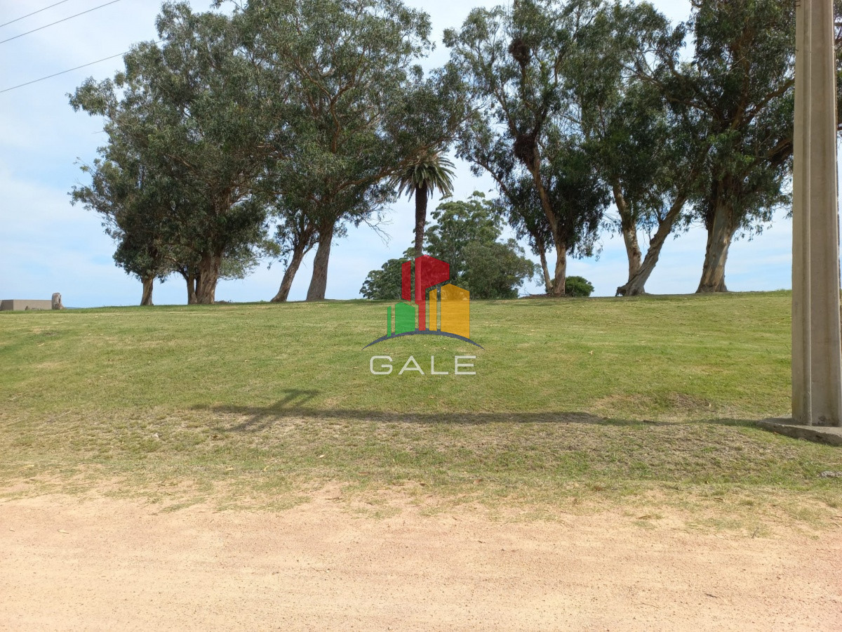 Terreno ID.4981 - Terreno en venta de 5000 m2 en El Quijote