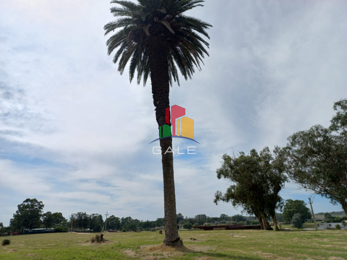 Terreno ID.4981 - Terreno en venta de 5000 m2 en El Quijote